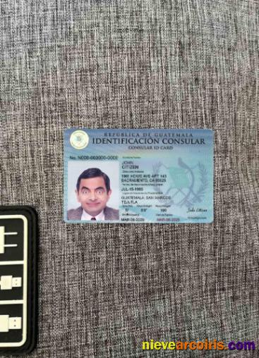 Guatemala consular ID card photolook